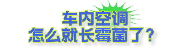 【注意】车里都是酸臭味？佛山的车主当心这个“祸害”→(图3)