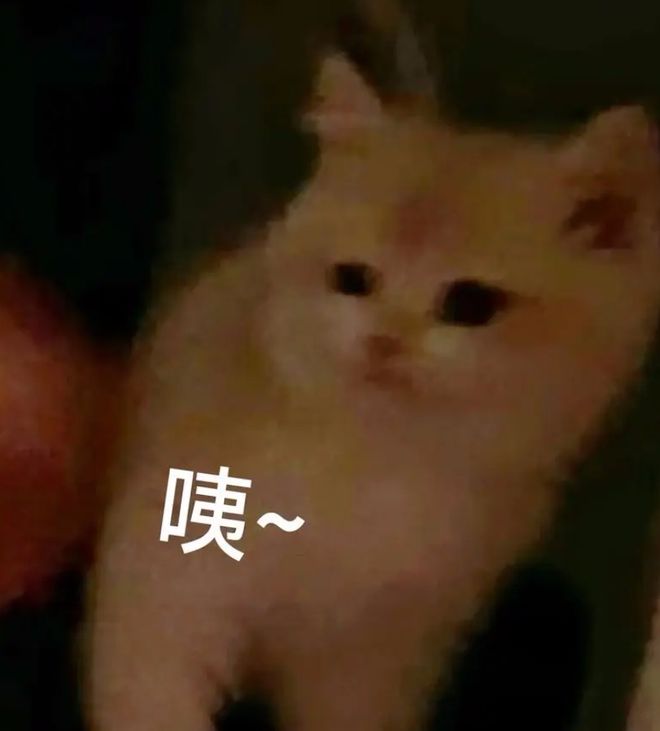 【注意】车里都是酸臭味？佛山的车主当心这个“祸害”→(图2)
