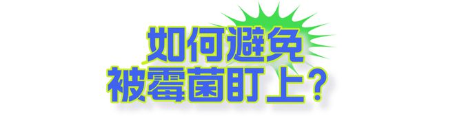 【注意】车里都是酸臭味？佛山的车主当心这个“祸害”→(图6)