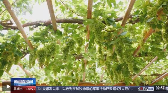 文化中国行｜被誉为“地下水长城”的坎儿井有何奥秘？(图9)