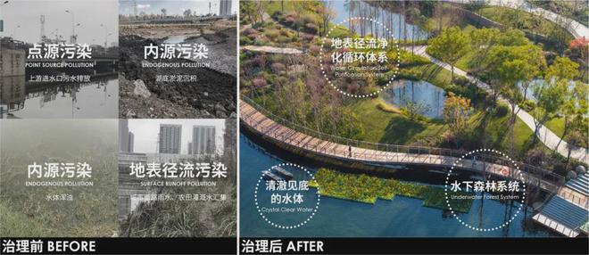 臭河道还能怎样换新颜？(图11)