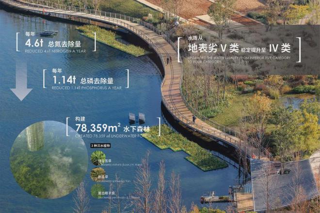 臭河道还能怎样换新颜？(图18)