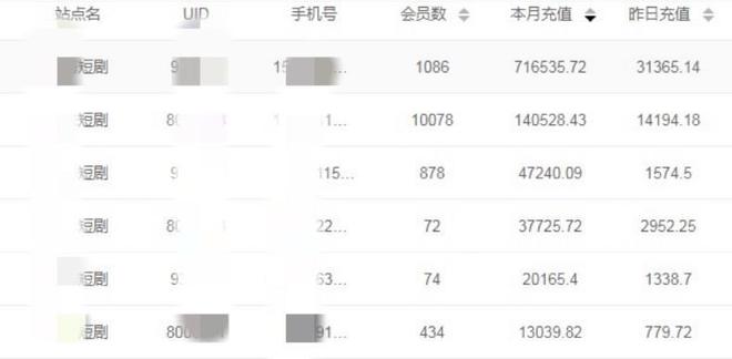 除了短剧分销你不知道的另外一个风口项目点进来了解详情(图7)