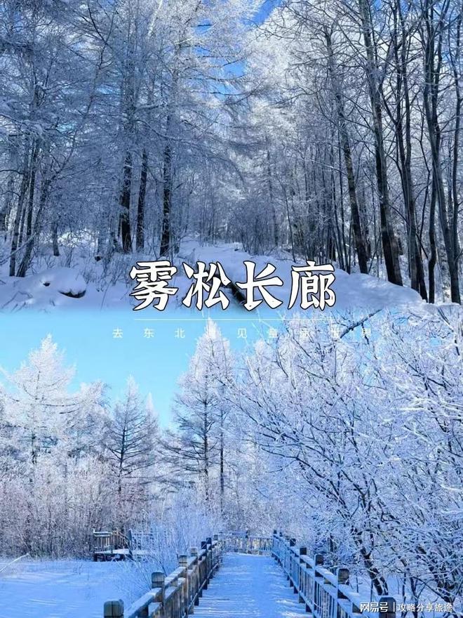 去哈尔滨几月份去最好2024哈尔滨冰雪节是几月几日至何时结束(图6)