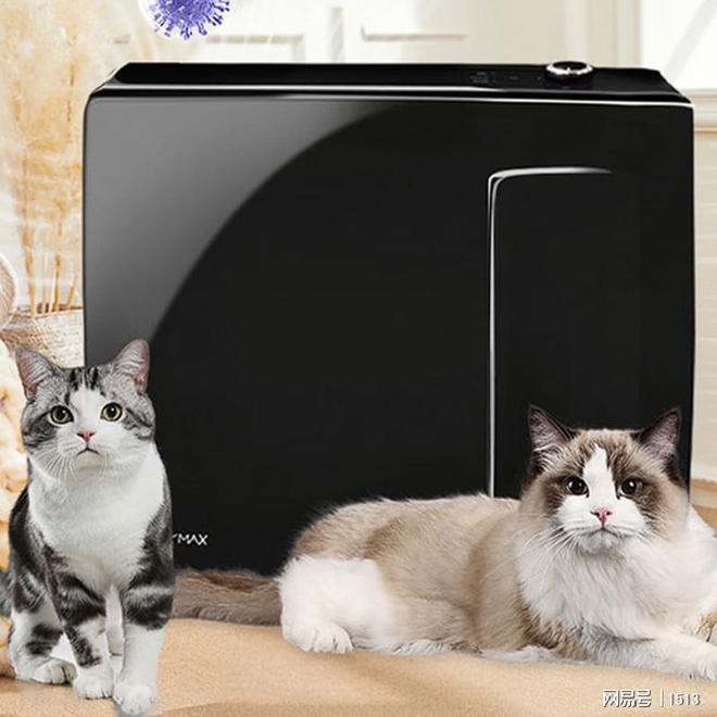 猫咪浮毛不净化！危害巨大！宠物空气净化器哪款好？(图11)