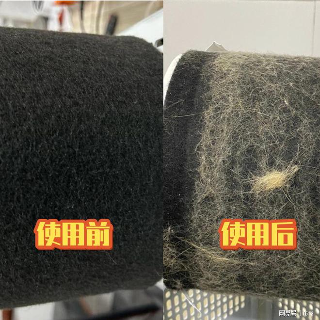 猫咪浮毛不净化！危害巨大！宠物空气净化器哪款好？(图7)