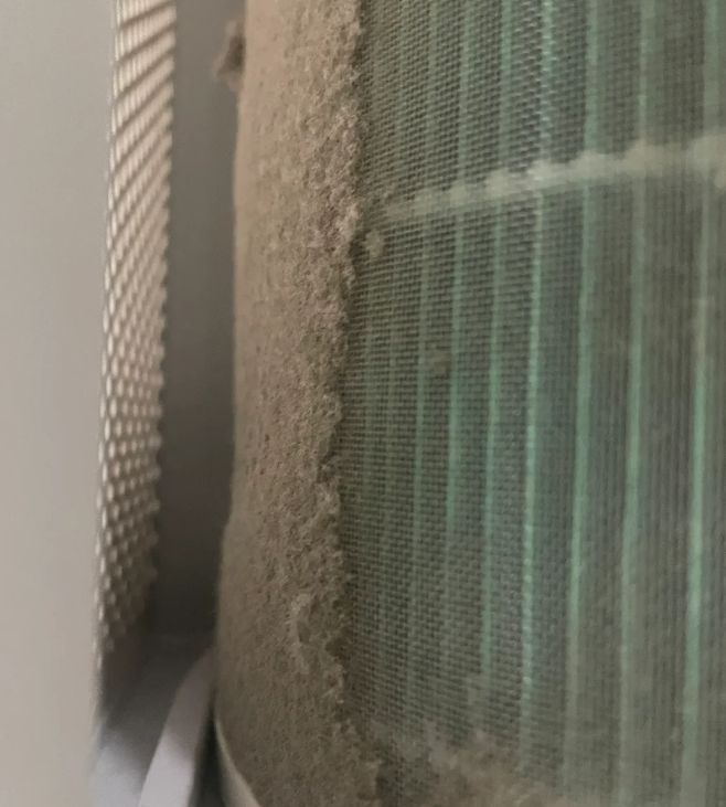 宠物空气净化器选哪种比较好用点？性价比高的宠物空气净化器推荐(图2)