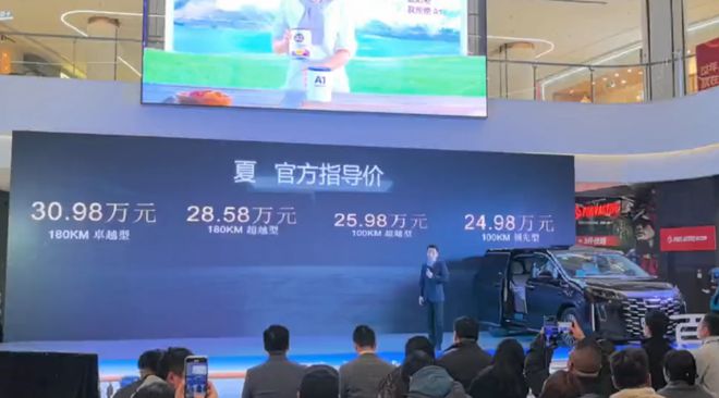 比亚迪夏登陆南京电视冰箱航空座椅第三排座椅可电动折叠(图2)