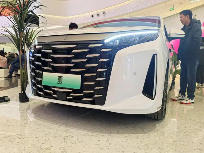 比亚迪夏登陆南京电视冰箱航空座椅第三排座椅可电动折叠(图5)