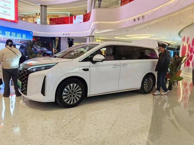 比亚迪夏登陆南京电视冰箱航空座椅第三排座椅可电动折叠(图4)