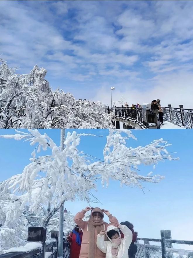 湖南旅游报团和自由行区别？张家界四日游费用计算表！(图3)
