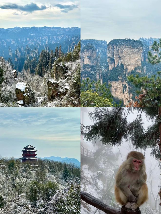 湖南旅游报团和自由行区别？张家界四日游费用计算表！(图1)