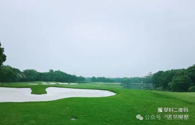 @佘山溦沨佘山溦沨售楼处发布：2025楼市新宠(图7)