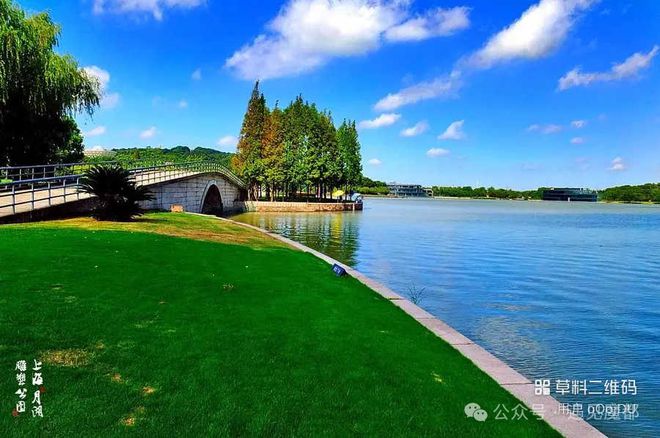 @佘山溦沨佘山溦沨售楼处发布：2025楼市新宠(图8)