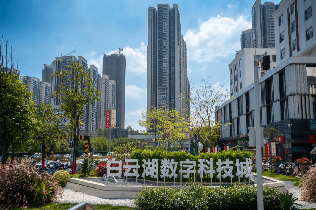 不开盲盒确定性拉满！这个红盘领先全场(图15)