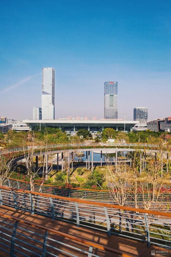 深圳人都羡慕的生活方式这里藏着答案(图1)