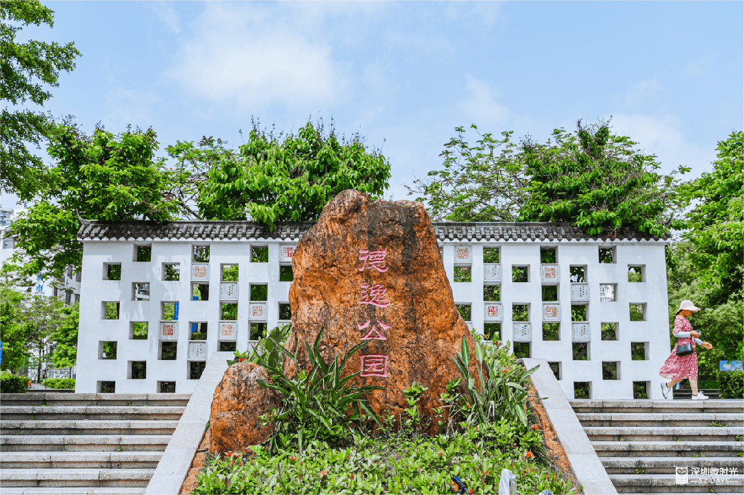 深圳人都羡慕的生活方式这里藏着答案(图6)