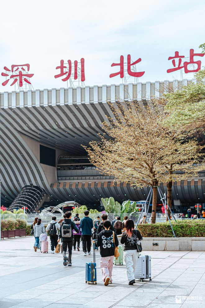 深圳人都羡慕的生活方式这里藏着答案(图11)