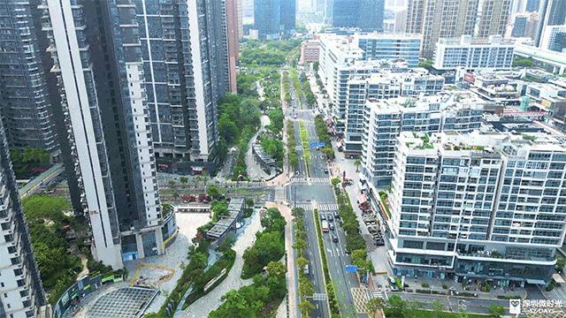 深圳人都羡慕的生活方式这里藏着答案(图22)