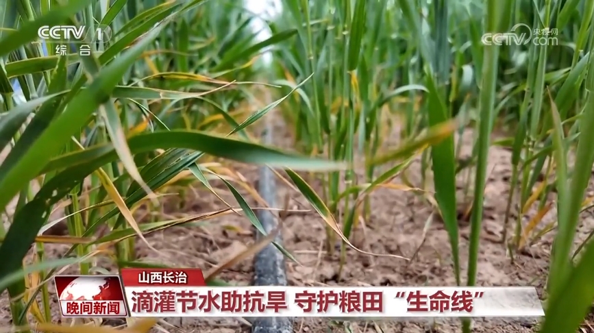 干热风来袭如何抗旱保灌稳农业生产？(图4)