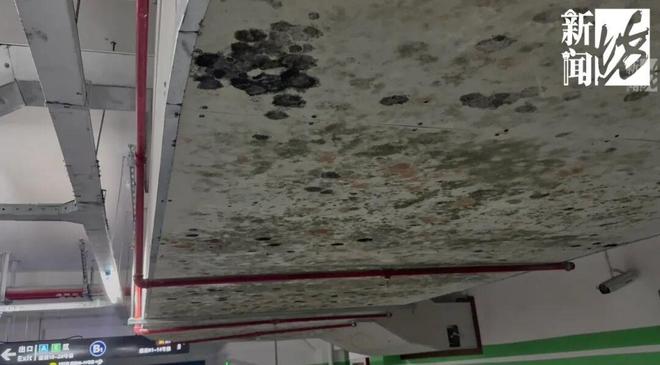 上海一小区地下车库长满“霉菌”业主：今年才交付看了作呕(图2)