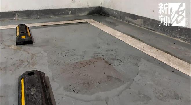 上海一小区地下车库长满“霉菌”业主：今年才交付看了作呕(图9)