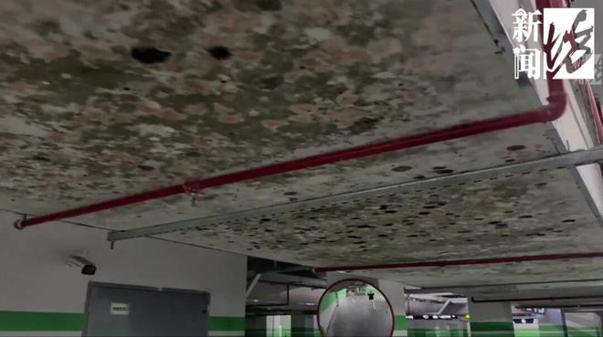 上海一小区地下车库长满“霉菌”业主：今年才交付看了作呕(图10)