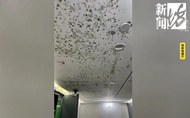 沪一小区业主头皮发麻：今年才交付已密密麻麻…(图1)