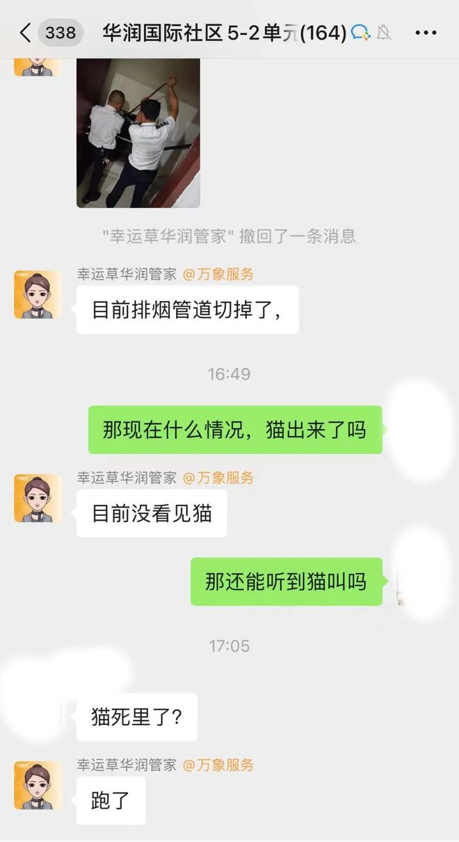 啥声音？泰州某小区通风管道内发出揪心叫声！(图2)