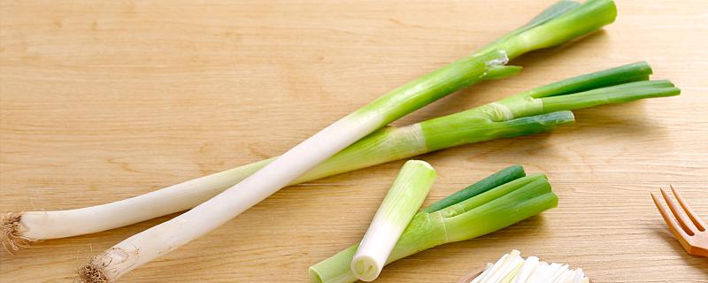 大葱如何冬天储藏冬天如何储存大葱(图1)