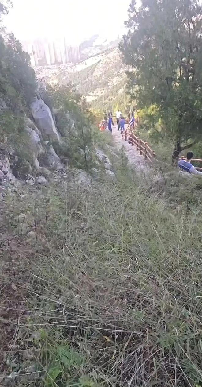 苏某某已确认身亡年仅29岁！遗体在离家2公里处被发现(图1)