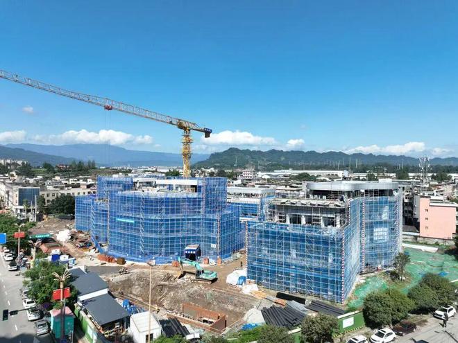 绘好产城融合“工笔画”草坝片区发展底色更鲜亮(图1)