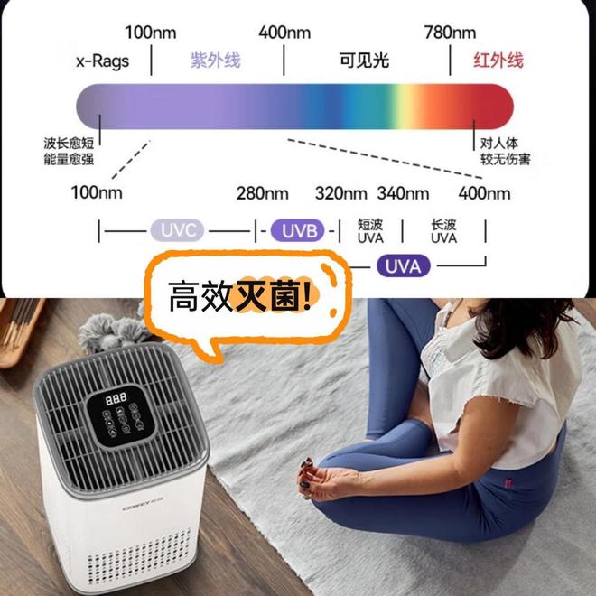 宠物空气净化器哪个好用？宠物空气净化器选哪个品牌好？(图5)