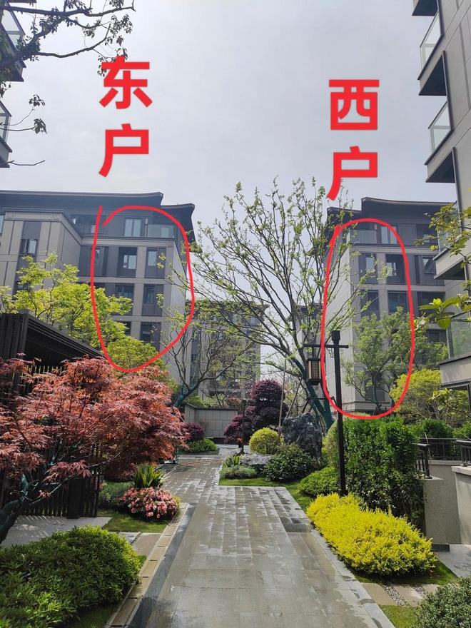 中年人嫌弃的“西晒房”年轻人却抢疯了？原因你压根想不到！(图8)