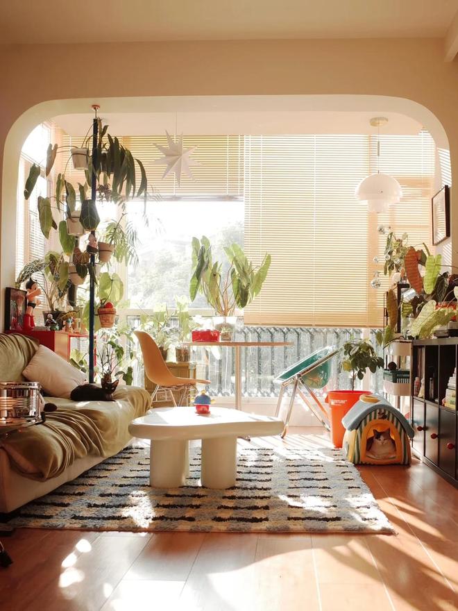 中年人嫌弃的“西晒房”年轻人却抢疯了？原因你压根想不到！(图6)