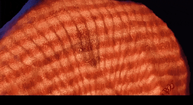 比高铁出口更强大的竟然是中国“暖气”(图2)