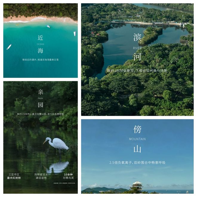 断供10年终迎破局者！三亚核心区突然杀出新标杆！(图5)