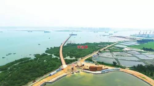 再讲茂名是偏远、闭塞的小城市我会→不→服→气！(图10)
