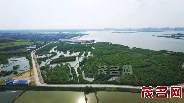 再讲茂名是偏远、闭塞的小城市我会→不→服→气！(图11)